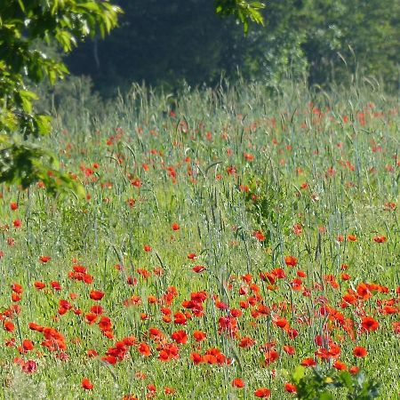 호후예트 Au Ptit Coquelicot 빌라 외부 사진